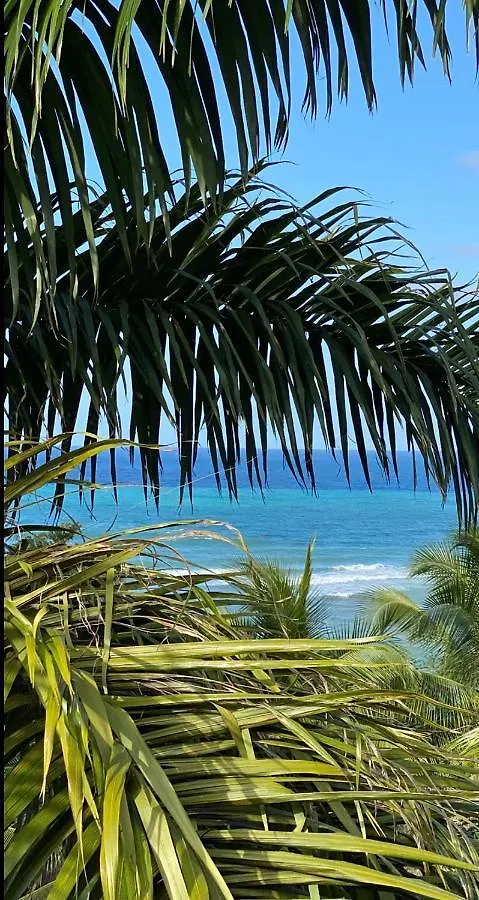 Aparthotel Spring Garden Mobay Resort Montego Bay Jamaika